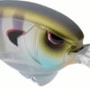 SPRO Outsider MR 60 Crankbait -Fishing Gear Shop 40342466330713