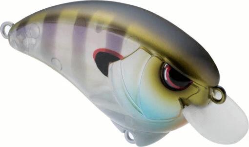 SPRO Outsider SR 55 Crankbait -Fishing Gear Shop 40342470131801