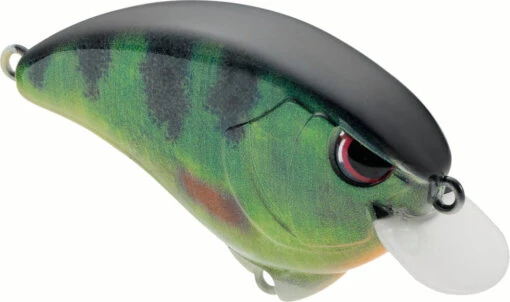 SPRO Outsider SR 55 Crankbait -Fishing Gear Shop 40342470164569