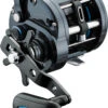 Daiwa Saltist LW Conventional Reel -Fishing Gear Shop 40400501014617