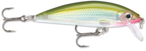 Rapala X-Rap CountDown 05 Jerkbait -Fishing Gear Shop 8353333510199