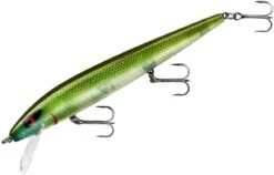 Smithwick Perfect 10 Rogue 5 1/2 Inch Deep Diving Suspending Jerkbait -Fishing Gear Shop ADR5281