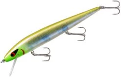 Smithwick Perfect 10 Rogue 5 1/2 Inch Deep Diving Suspending Jerkbait -Fishing Gear Shop ADR5283