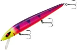 Smithwick Perfect 10 Rogue 5 1/2 Inch Deep Diving Suspending Jerkbait -Fishing Gear Shop ADR5291