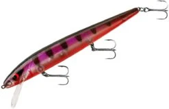 Smithwick Perfect 10 Rogue 5 1/2 Inch Deep Diving Suspending Jerkbait -Fishing Gear Shop ADR5294