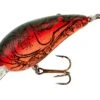 Bomber Model 4A Shallow-Medium Diving Crankbait -Fishing Gear Shop B04ACFNR 210eaf94 1c42 438b 8060 9b6aa5a9c3d0