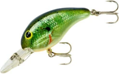 Bandit 200 Series Medium Diving Crankbait -Fishing Gear Shop BDT2B38