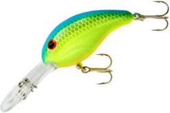 Bandit 300 Series Deep Diving Crankbait -Fishing Gear Shop BDT336