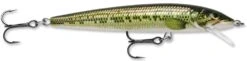 Rapala Husky Jerk 10 Jerkbait/Trolling Minnow -Fishing Gear Shop Baby Bass d909f715 e22a 40a3 b4ee 9840d64f14dc