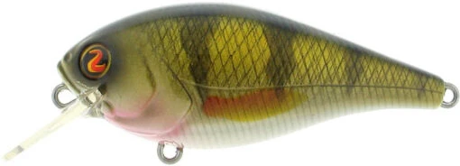 River2Sea Biggie Poppa Bumpin' Rattle Fast Squarebill -Fishing Gear Shop Biggie09RealPerch