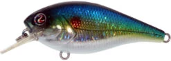 River2Sea Biggie Poppa Bumpin' Rattle Fast Squarebill -Fishing Gear Shop Biggie39HorizonShad