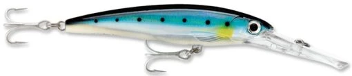 Rapala X-Rap Magnum 15 Big Game Slash Bait -Fishing Gear Shop Blue Sardine 70caf49e 8f9e 4683 aa5d 783f640850d3