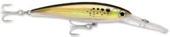 Rapala X-Rap Magnum 10 Big Game Slash Bait -Fishing Gear Shop Bunker 1bf61b5b e2d9 414d 8963 53454fd47462