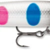 Rapala Down Deep Husky Jerk 12 Deep Diving Jerkbait -Fishing Gear Shop DHJ12 14 BWB 6f7c5b61 670a 4310 8b25 b29c4c63227c