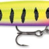 Rapala Down Deep Husky Jerk 14 Deep Diving Jerkbait -Fishing Gear Shop DHJ12 14 HSP