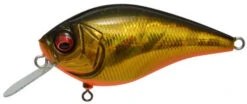 Megabass Knuckle LD Silent Crankbait 2 1/3 Inches -Fishing Gear Shop GG Megabass Kinkuro 87c3d9ee 4b25 4f31 813a a77e3bb707fe