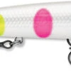 Rapala Husky Jerk 12 Jerkbait/Trolling Minnow -Fishing Gear Shop HJ12 14 BWB bd2bad12 c688 4056 b538 e6e45e56893e