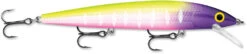 Rapala Husky Jerk 12 Jerkbait/Trolling Minnow -Fishing Gear Shop HJ12 14 MFT 30c50575 8d12 44fc 883c 4253fe262622