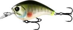 13 Fishing Jabber Jaw Hybrid Squarebill -Fishing Gear Shop JJC60 08