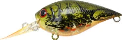 Lucky Craft LC 0.7 DR Deep Running Crankbait -Fishing Gear Shop LC 0 7DR 188TOGC