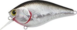 Lucky Craft LC 2.5 Shallow Squarebill Crankbait -Fishing Gear Shop LC 2 5 419BPGSN