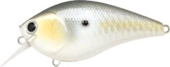 Lucky Craft LC 2.5 Shallow Squarebill Crankbait -Fishing Gear Shop LC 2 5 426GTFSD