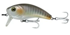 6th Sense Movement 80 Wake Bait SW -Fishing Gear Shop LiveCroaker