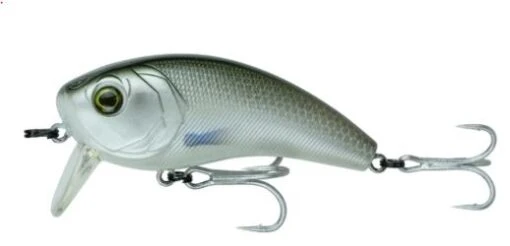 6th Sense Movement 80 Wake Bait SW -Fishing Gear Shop LiveMullet