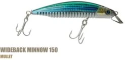 Ocean Born Wideback Minnow 150mm Floating -Fishing Gear Shop Mullet 1