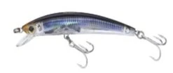 Yo-Zuri Crystal 3D Minnow Floating 5 1/4″ -Fishing Gear Shop Mullet 6 1