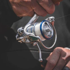 Daiwa Procyon MQ LT Spinning Reel -Fishing Gear Shop Procyon3Spot 1000x a9dd0fff 5484 484f ada8 569f03ffa72b