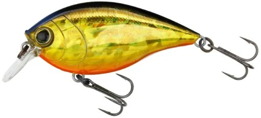 Hardcore Crank SR 65F Shallow Squarebill Crankbait -Fishing Gear Shop R1363 HGSN