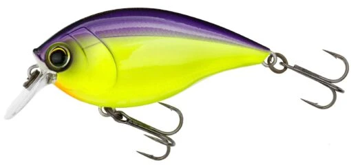 Hardcore Crank SR 65F Shallow Squarebill Crankbait -Fishing Gear Shop R1363 PUCL