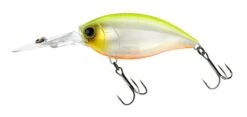 Hardcore Crank 70F 3+ Deep Diving Crankbait -Fishing Gear Shop R1376 CRANK 3 70F GPCL