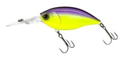 Hardcore Crank 70F 3+ Deep Diving Crankbait -Fishing Gear Shop R1376 CRANK 3 70F PUCL