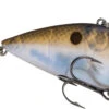 Strike King Red Eyed Shad 1/4 Oz. Lipless Crankbait -Fishing Gear Shop REYESD 583 aef8624f 4b7e 49ab 8366 99292062d3a8