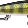 Rapala RipStop 12 Jerkbait -Fishing Gear Shop RPS12 PEL