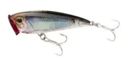 Yo-Zuri 3D Inshore Popper 2 3/4″ -Fishing Gear Shop RealMullet 2