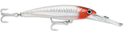 Rapala X-Rap Magnum 40 Big Game Slash Bait -Fishing Gear Shop Red Head UV 5148fde5 f206 400c a586 c0aebc17870c