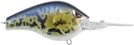 SPRO Fat Papa 70 Deep Diving Crankbait -Fishing Gear Shop SBD70GBY GOBY dd456962 fa34 4711 8dde 7ee06867a9f7