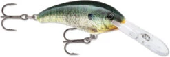 Rapala Shad Dancer SDD05 Medium Diving Crankbait -Fishing Gear Shop SDD BGL