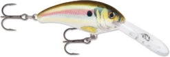 Rapala Shad Dancer SDD05 Medium Diving Crankbait -Fishing Gear Shop SDD RSL