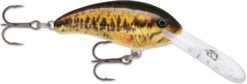 Rapala Shad Dancer SDD05 Medium Diving Crankbait -Fishing Gear Shop SDD SBL