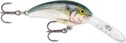 Rapala Shad Dancer SDD05 Medium Diving Crankbait -Fishing Gear Shop SDD SD