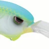 SPRO Outsider DD 80 Crankbait -Fishing Gear Shop SOSCDD80CGM CitrusGlimmer