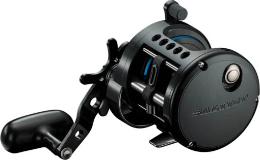 Daiwa Saltist LW Conventional Reel -Fishing Gear Shop Saltist LW PR 100DPI