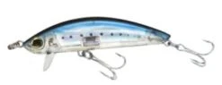 Yo-Zuri 3D Inshore Surface Minnow 3 1/2″ -Fishing Gear Shop Sardine 3 1