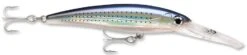 Rapala X-Rap Magnum 15 Big Game Slash Bait -Fishing Gear Shop Spotted Minnow 69a00102 1bb2 44d8 acfe c39acffec822