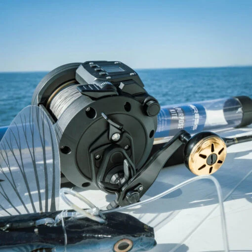 Daiwa Tanacom 800 Power Assist Electric Dendoh Reel -Fishing Gear Shop TANACOM 800 21 1000x 1b600493 0e9d 47a4 94a8 10987858d250