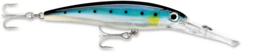 Rapala X-Rap Magnum 40 Big Game Slash Bait -Fishing Gear Shop blue sardine 5712d778 19dc 4ba3 b099 9091dc8cbe7f